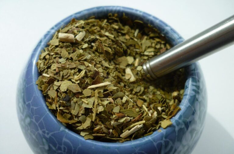 yerba mate