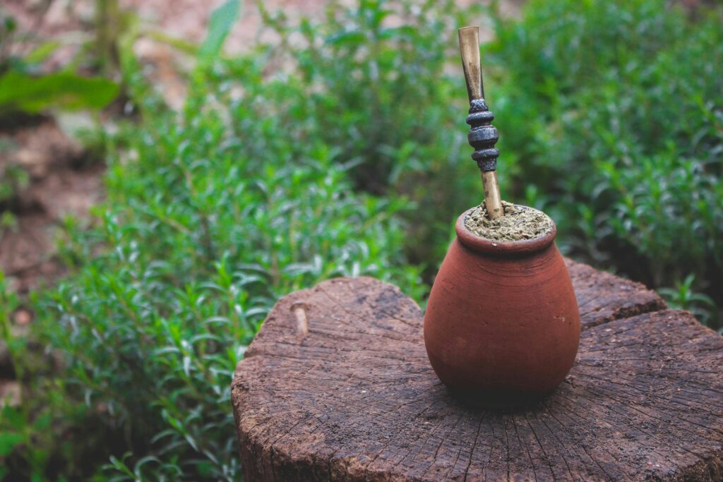 yerba mate